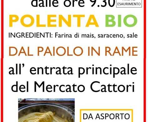 Polenta Bio